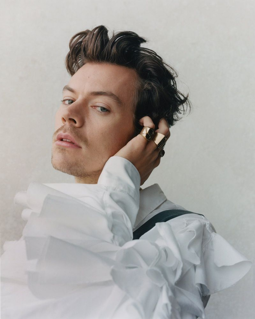 Moda Harry Styles