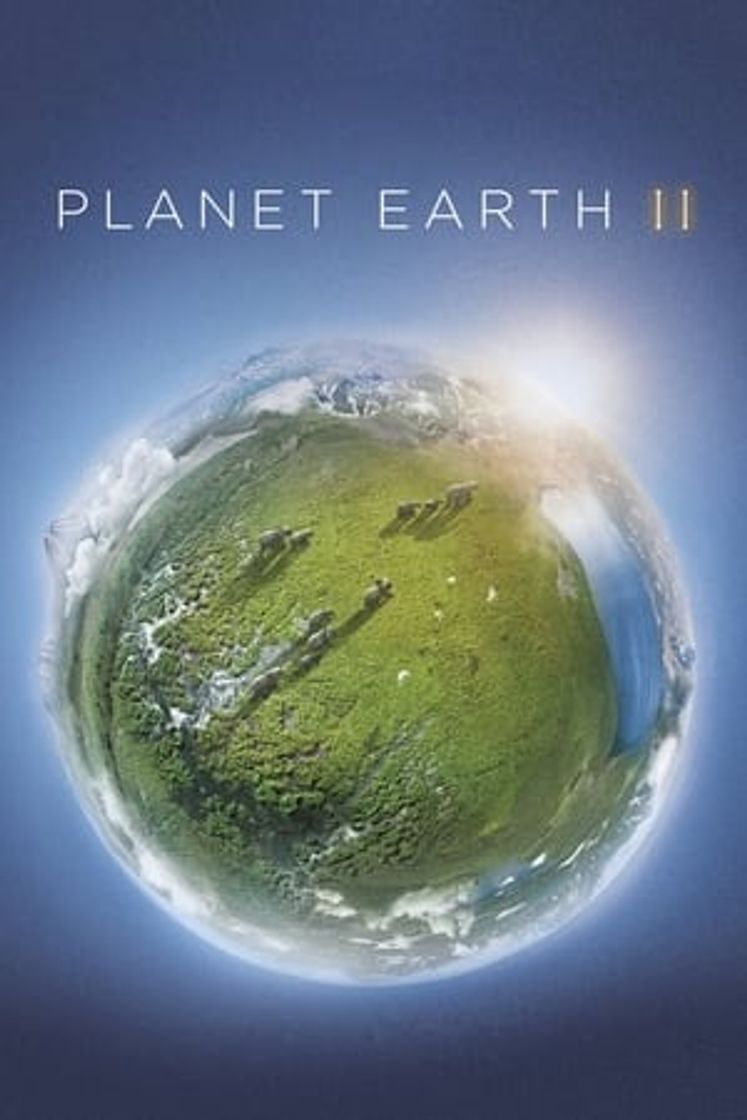 Serie Planeta Tierra II