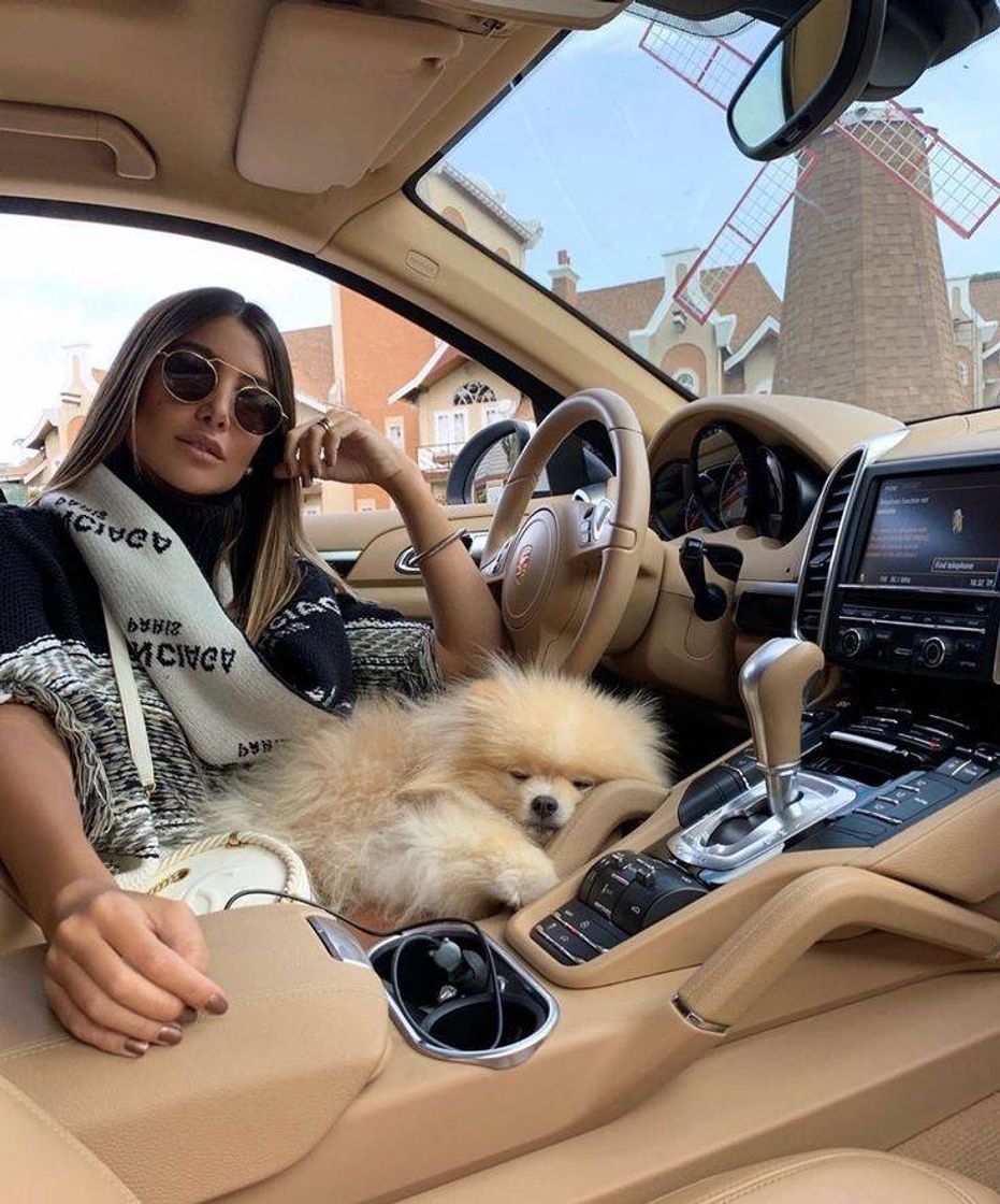 Social 𝐶𝑢𝑡𝑒 𝐷𝑜𝑔