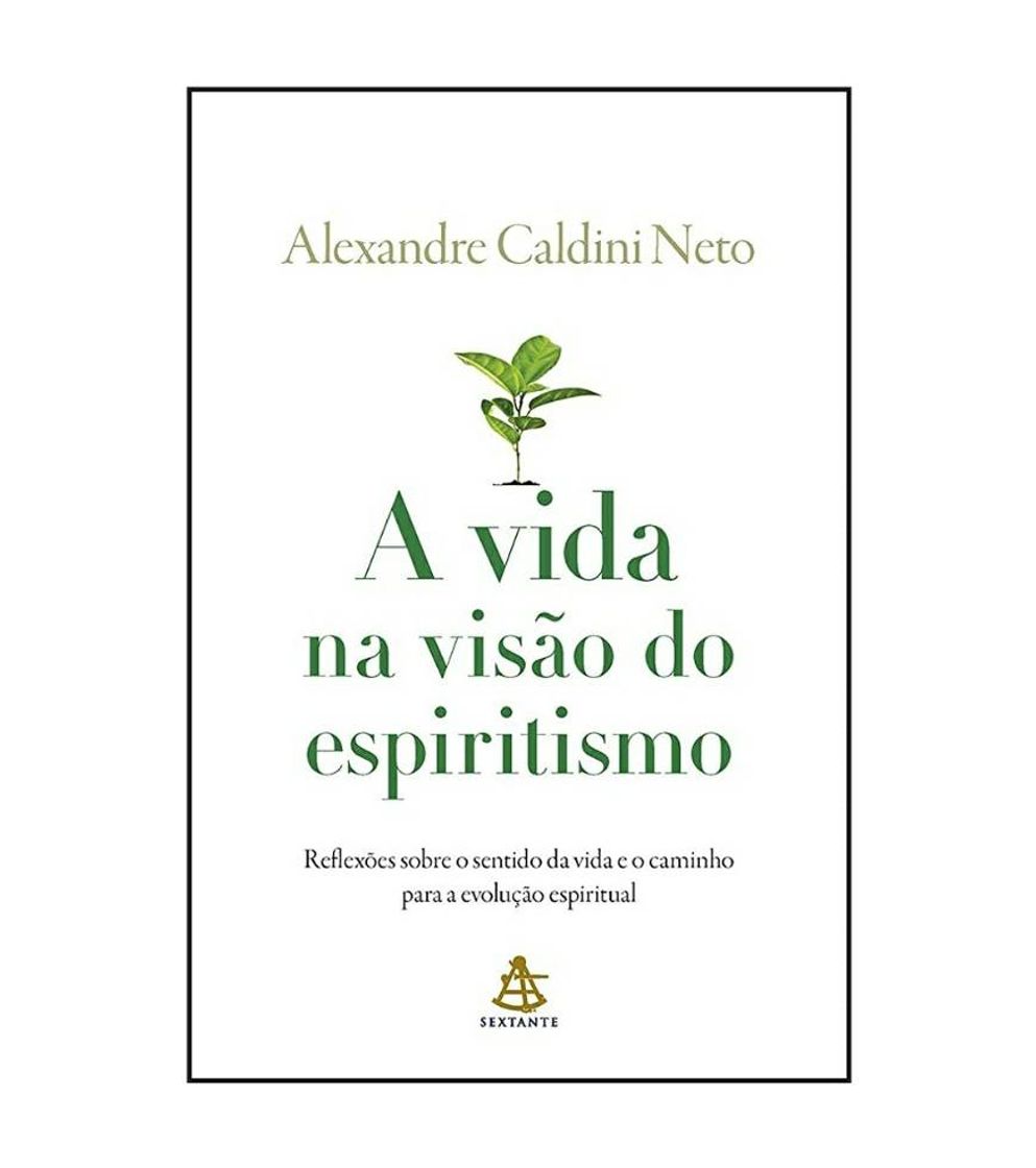 Libro A Vida Na Visão do Espiritismo 