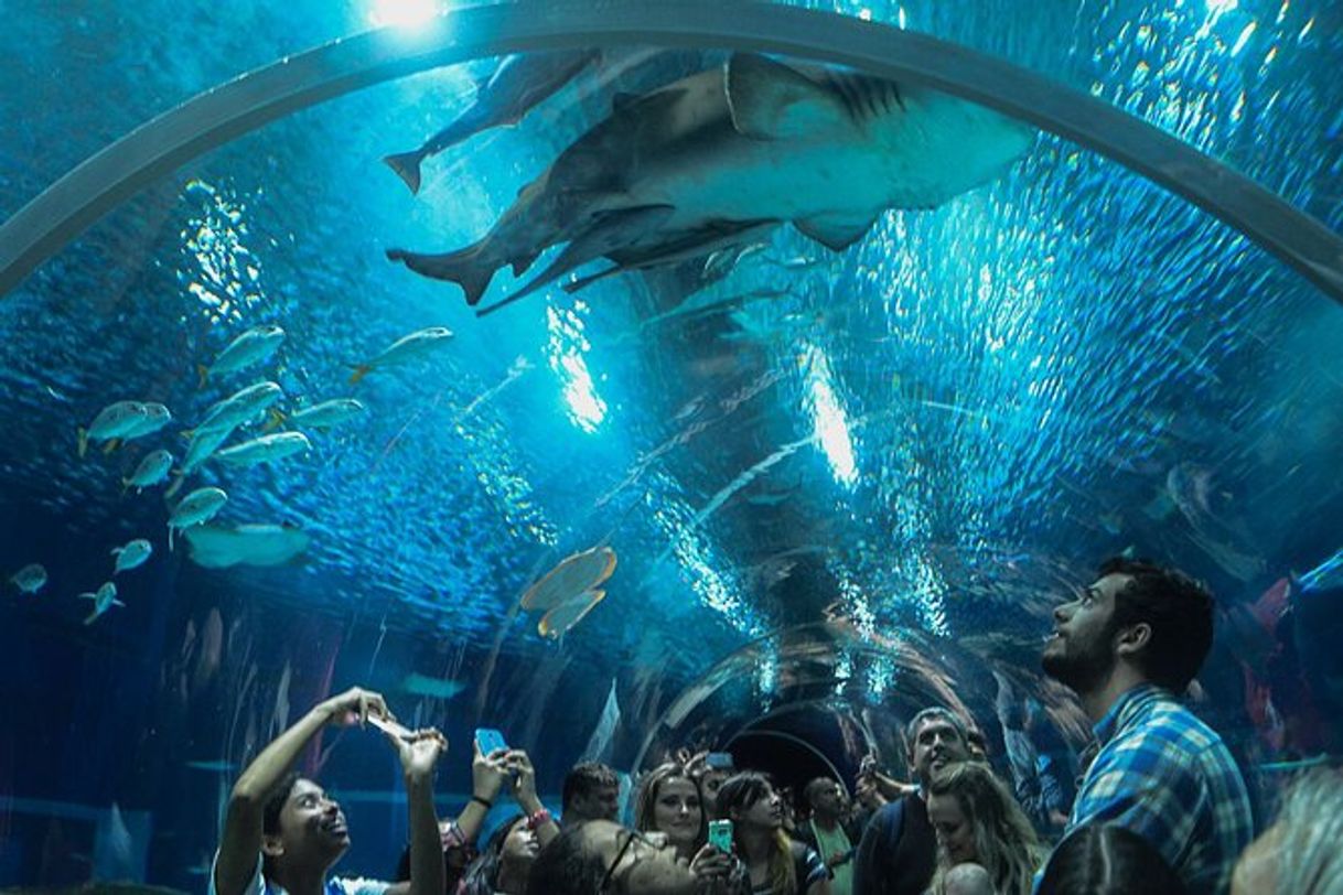 Lugar Aquário Marinho do Rio de Janeiro