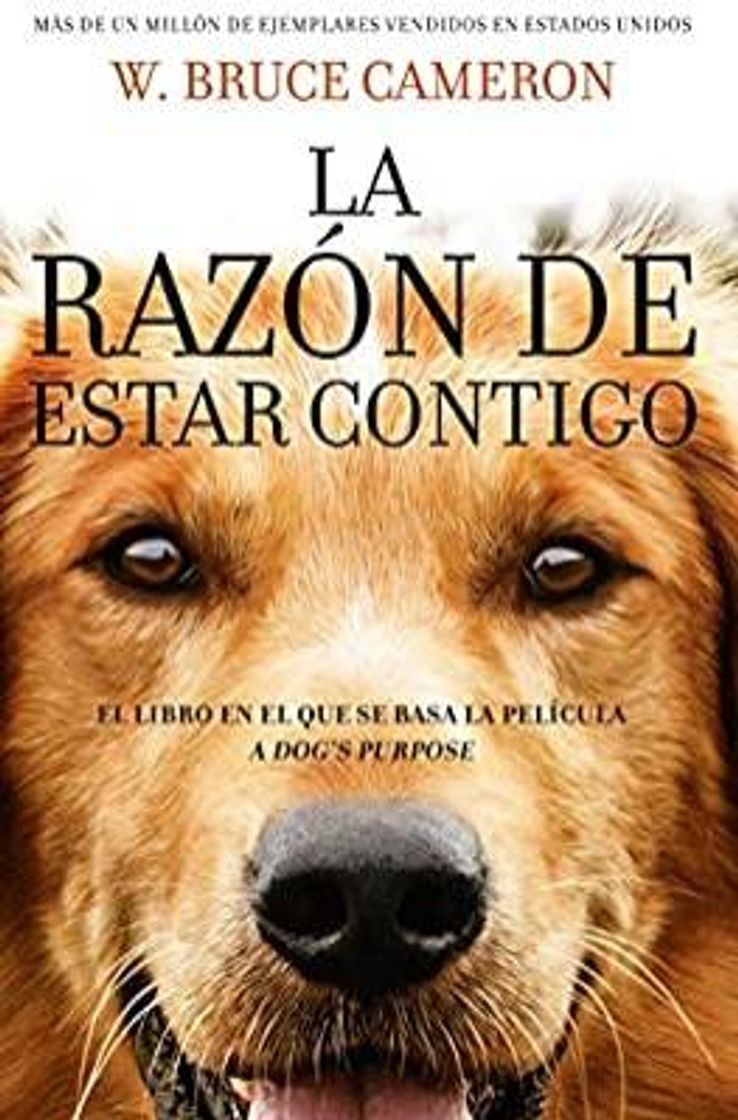 Libros 💠La razón de estar contigo 📕