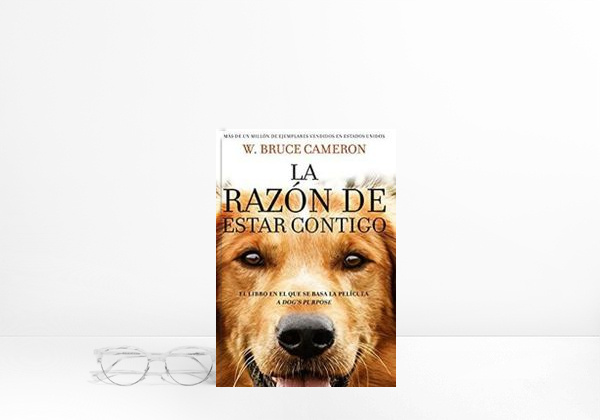 Libro 💠La razón de estar contigo 📕