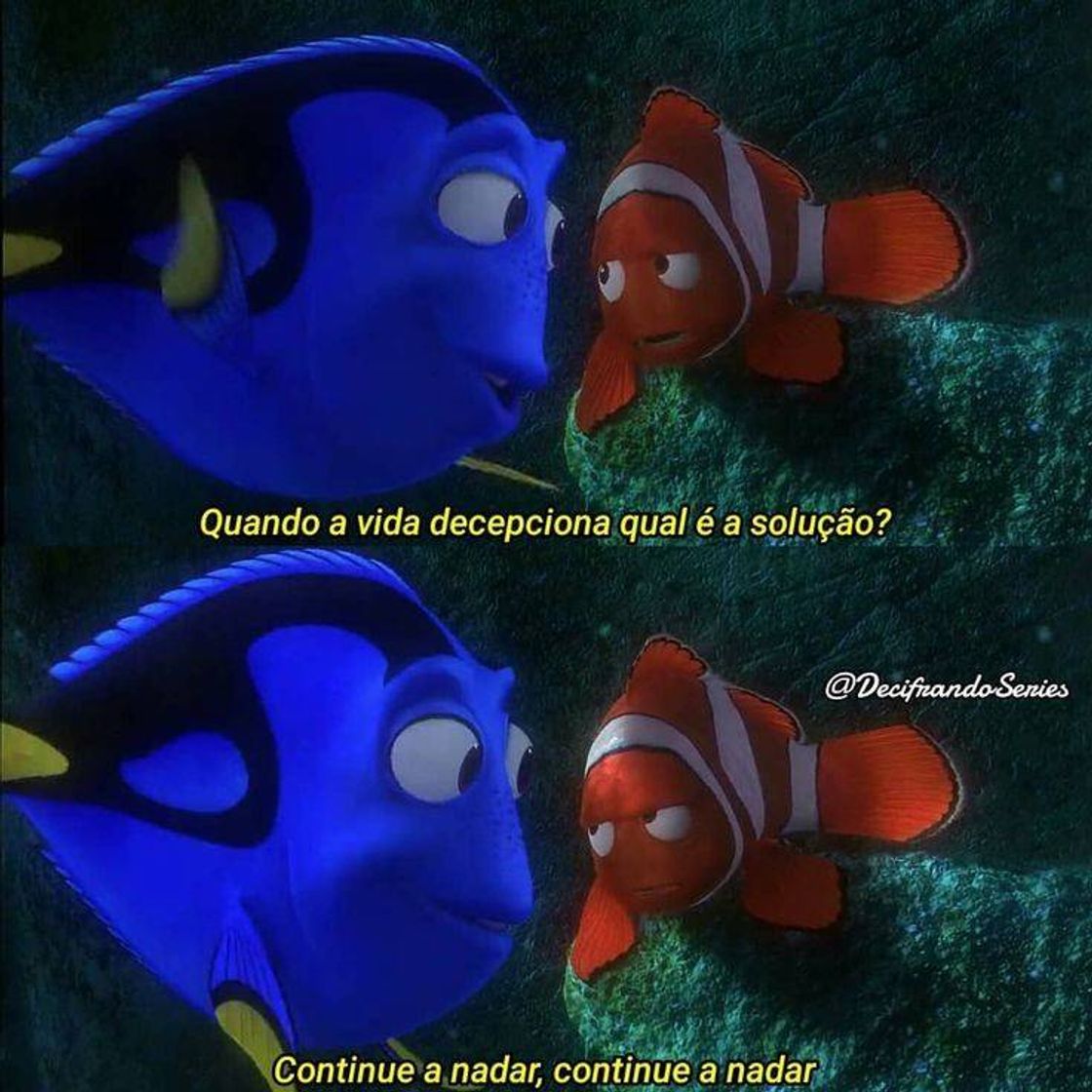 La cámara del arrecife de Dory