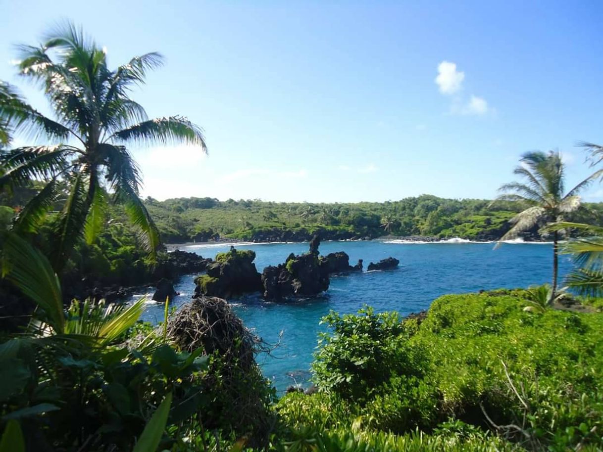 Lugar Road to Hāna