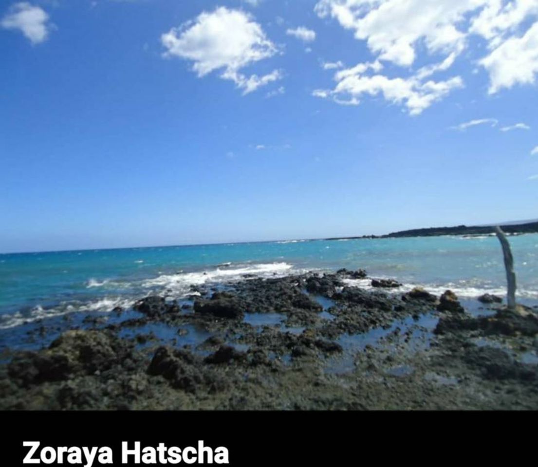 Lugar Ahihi-Kinau Natural Area Reserve