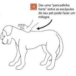 Fashion CACHORRO ENGASGADO, o que fazer?😨🐶❗