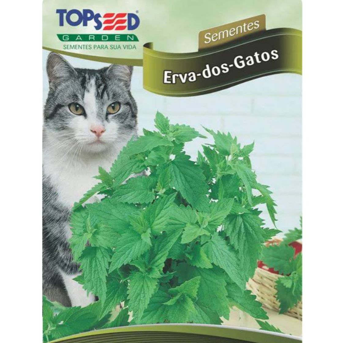 Fashion Erva-dos-gatos🌿😸(Catnip)