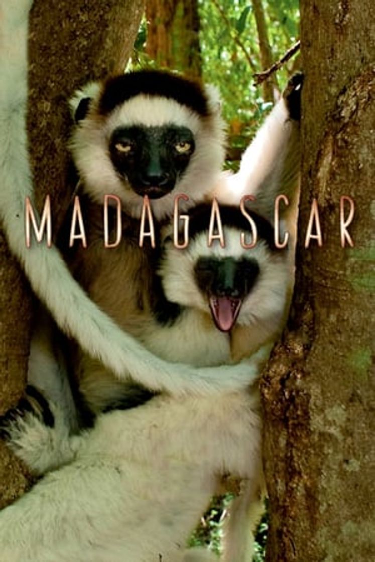 Serie Madagascar