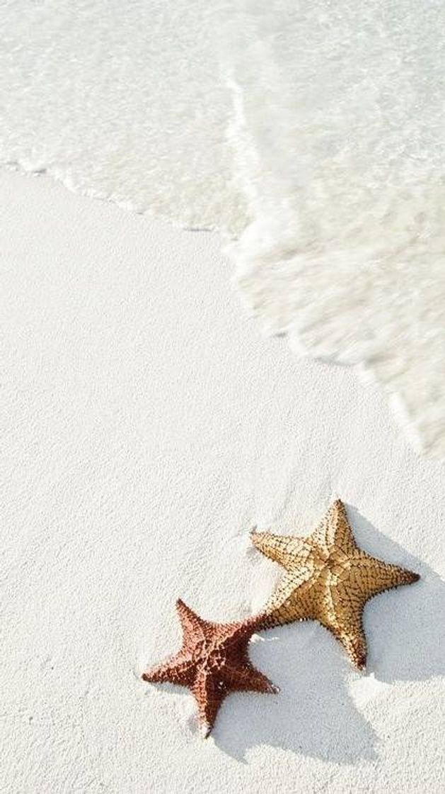 Fundo de tela com o tema Praia 🏖️