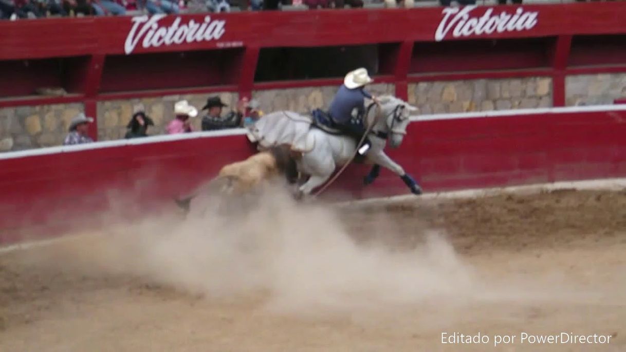 Fashion Jaripeo a lazo 