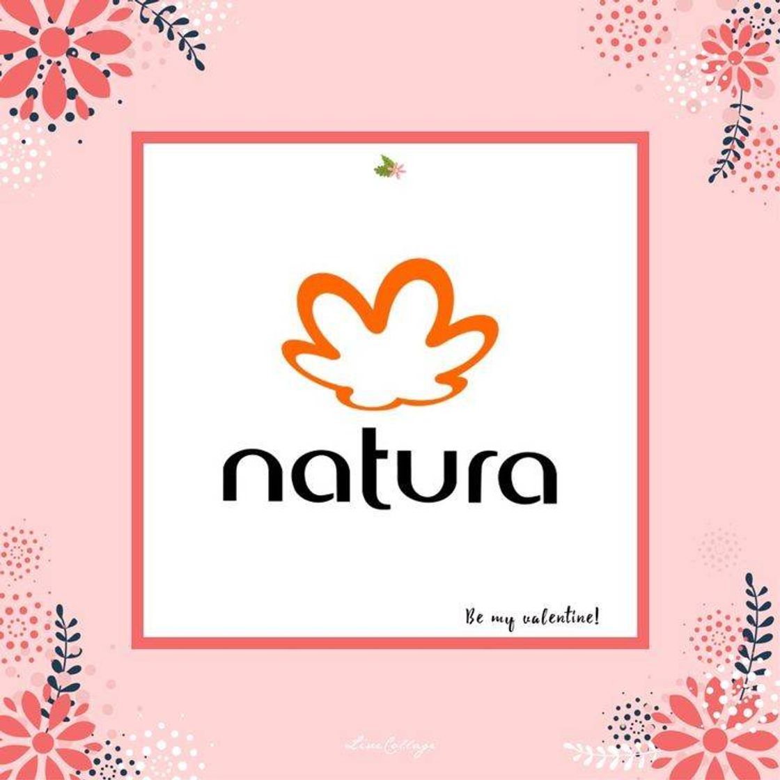 Social La mejor Marca para comprar perfumes