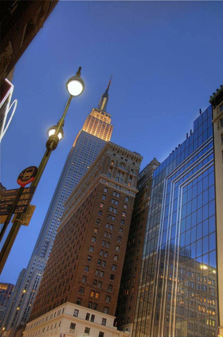 Social new york 🌁