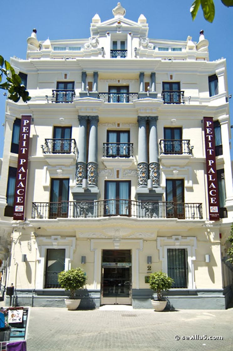 Lugares Hotel Petit Palace Canalejas