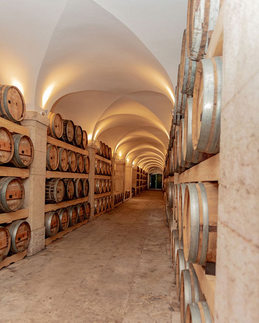 Place Adega do Palácio do Marquês de Pombal