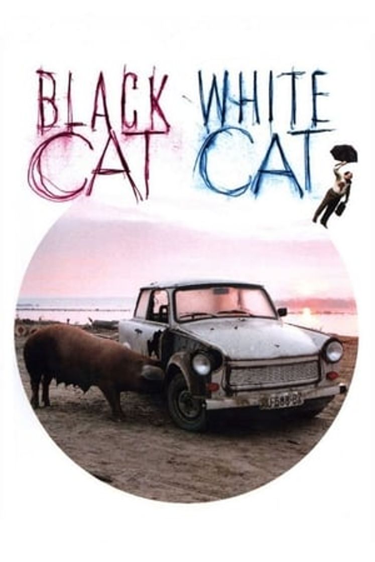 Movie Gato negro, gato blanco