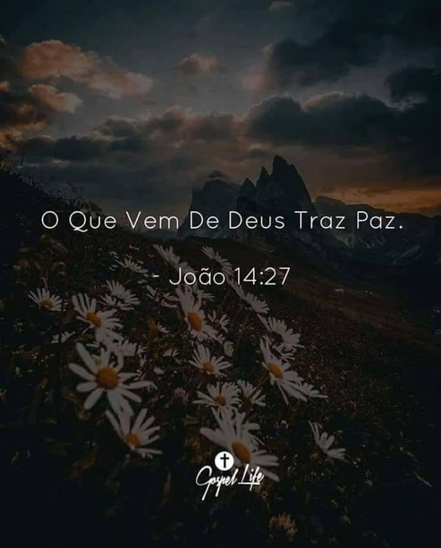 Moda O que vem de Deus trás Paz.