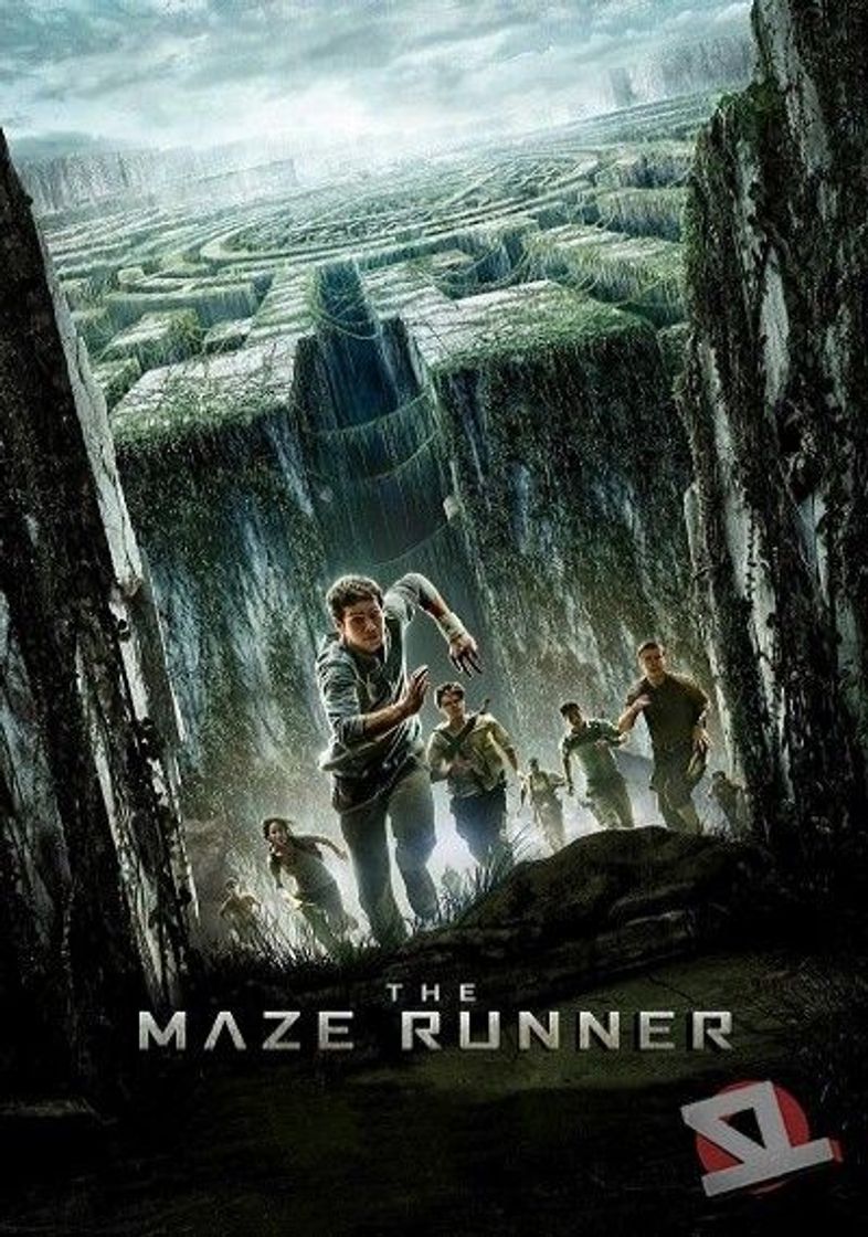 Serie Maze runner