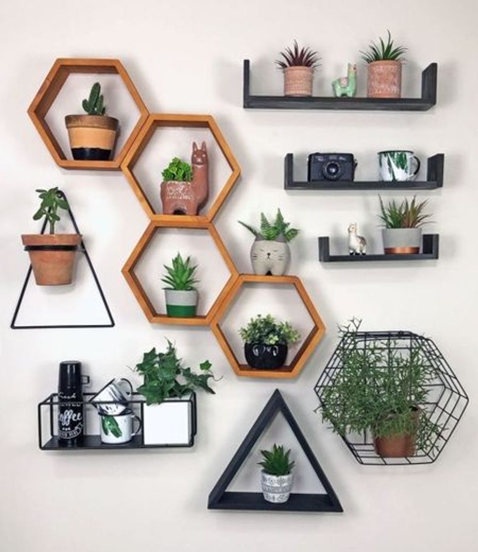 Fashion Eu super amo, decorar a casa com plantinhas e vocês?