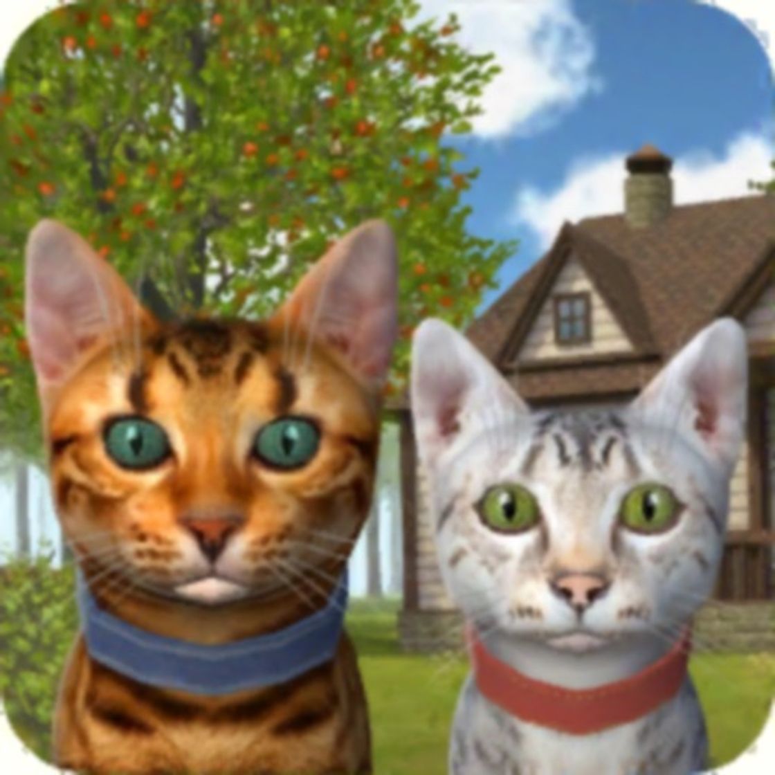 App Cat Simulator 2020