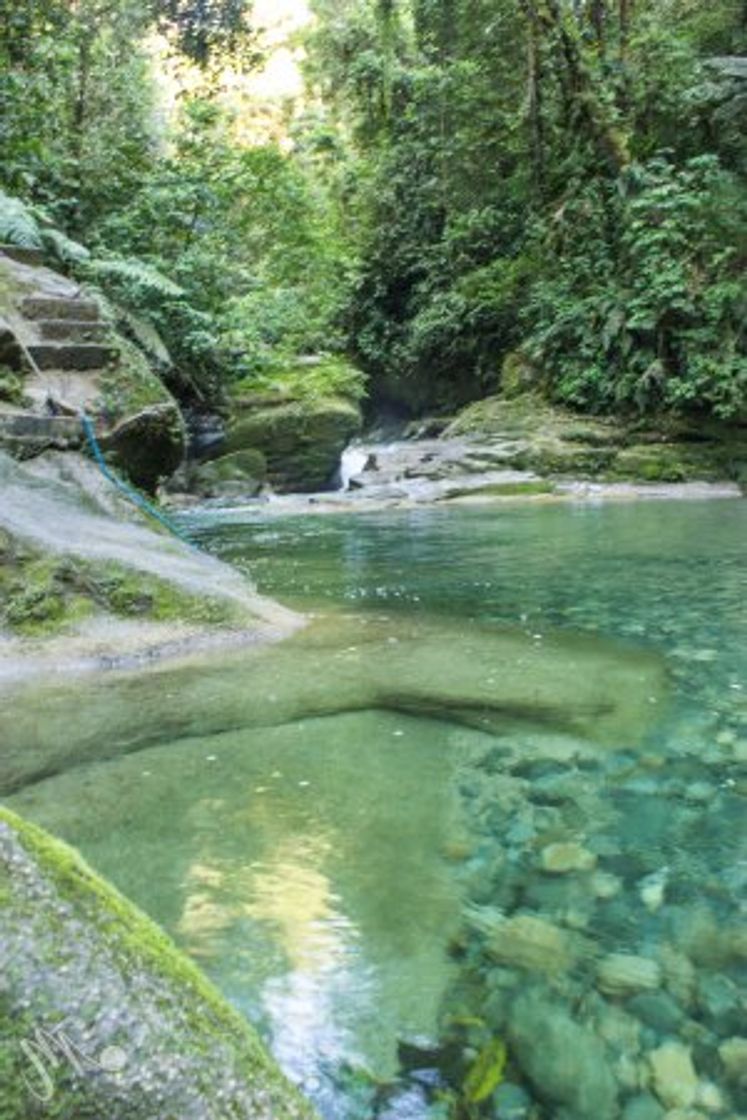 Lugar Laguna Azul (Guaysayacu)