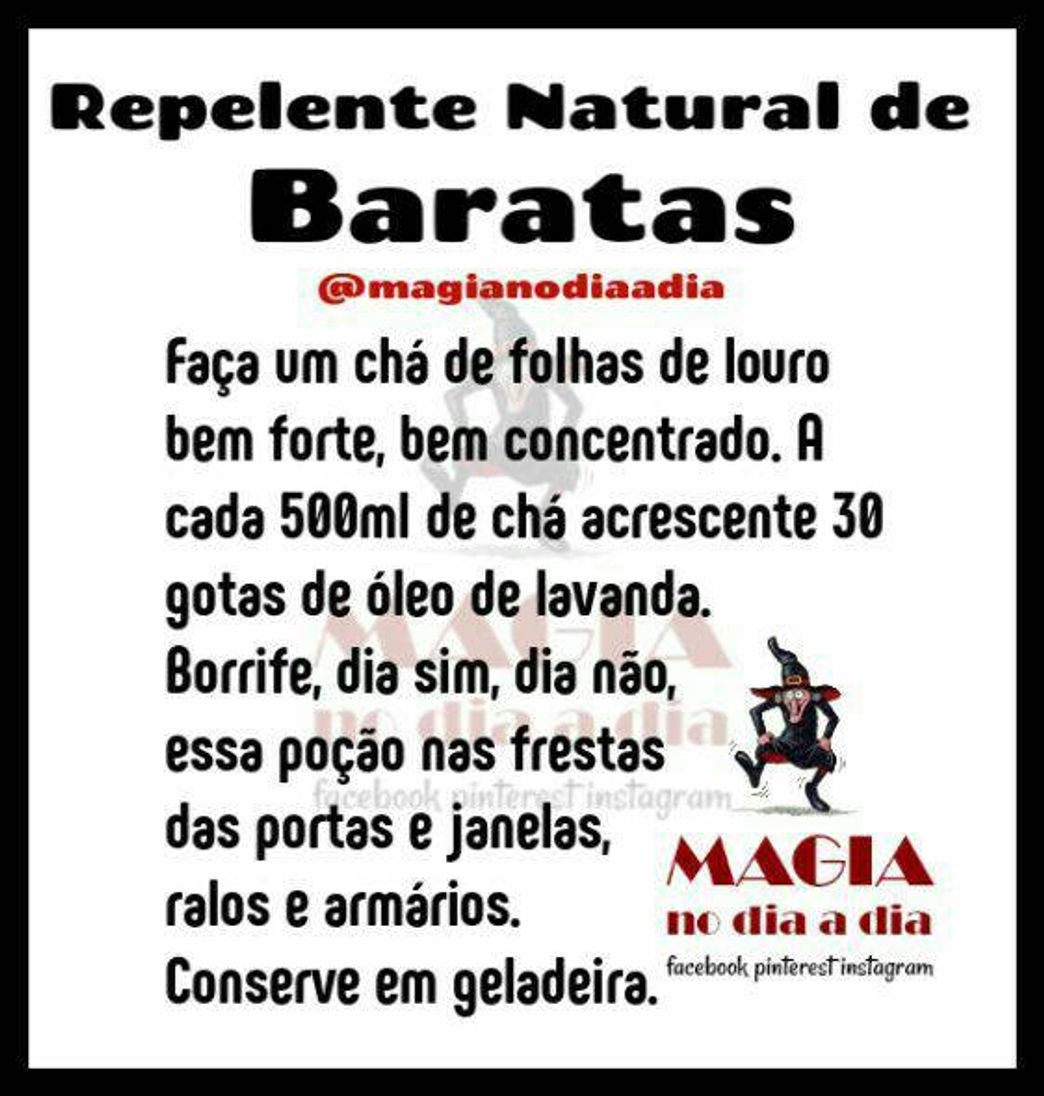 Fashion Repelente natural