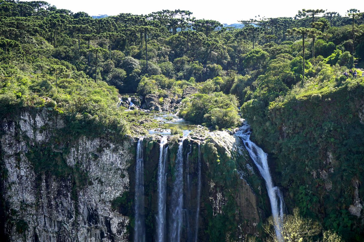 Lugar Aparados da Serra