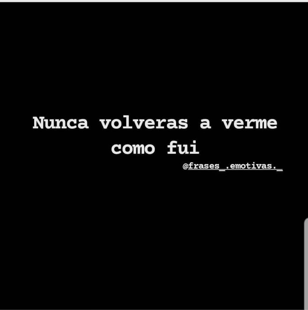 Social FRASES DEL DÍA