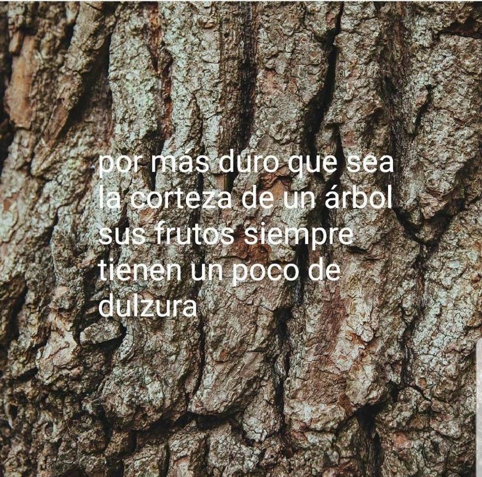 Social Frases Emotivas