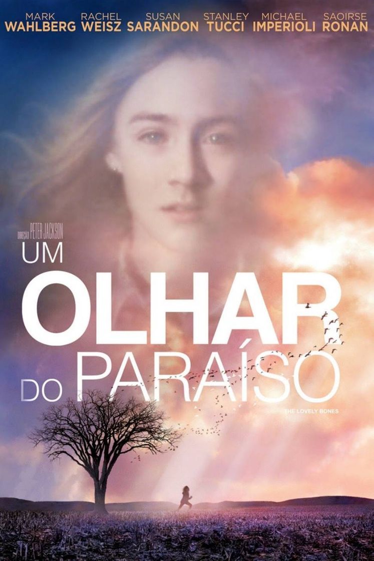 Um olhar do Paraiso