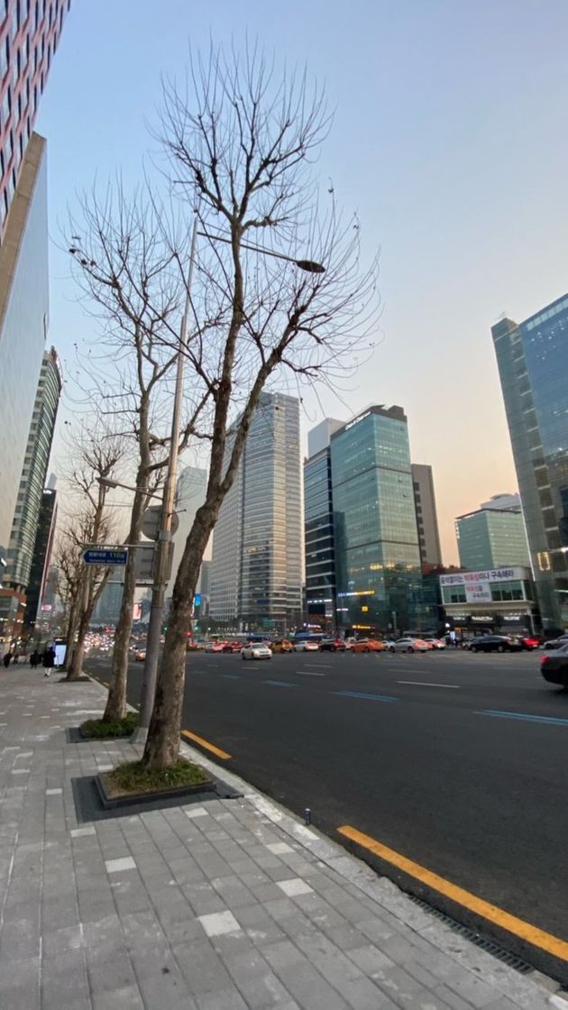 Place Gangnam-gu