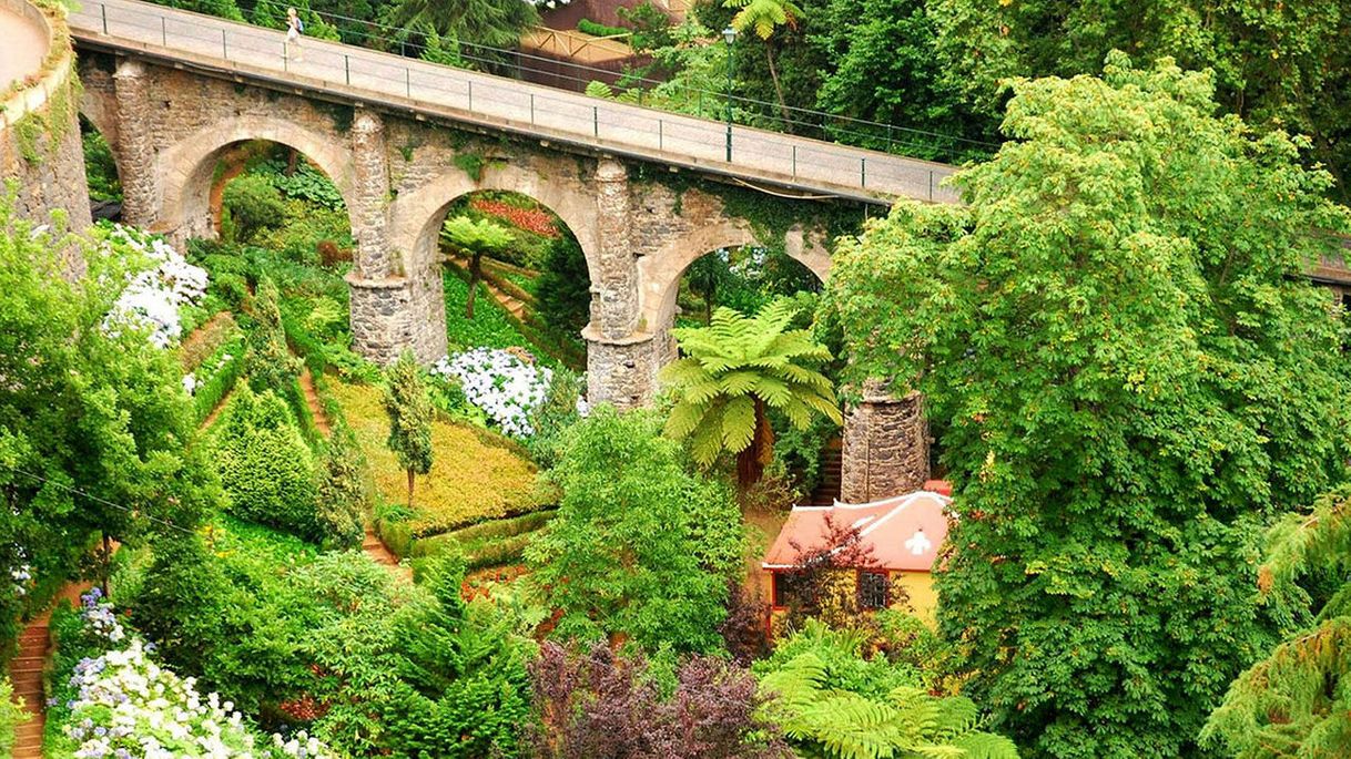 Lugar Monte Funchal