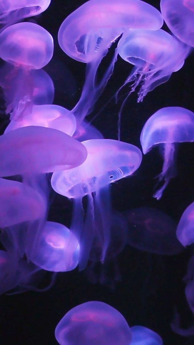 💜