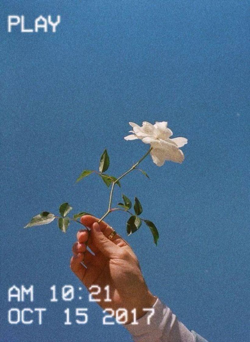 💙