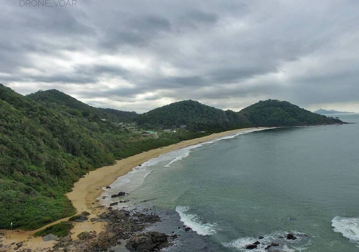 Moda Praia do Buraco BALNEÁRIO CAMBORIÚ SC