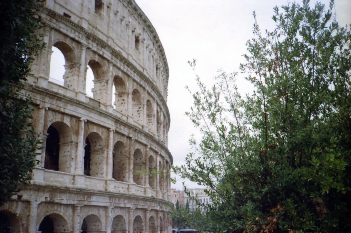 Lugar Colosseo