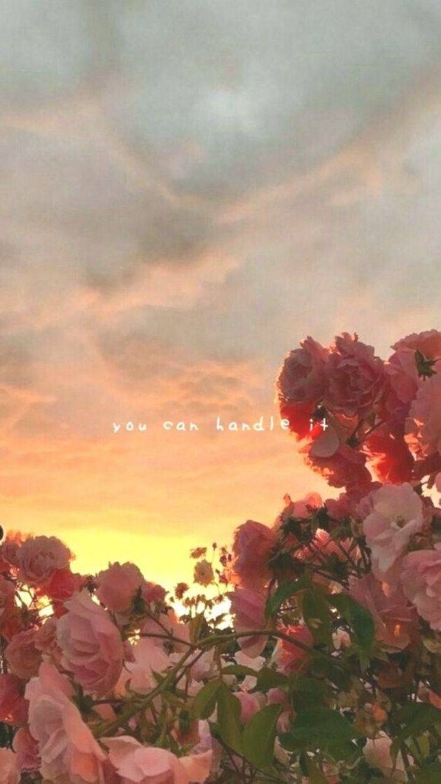 Social Wallpaper 💕
