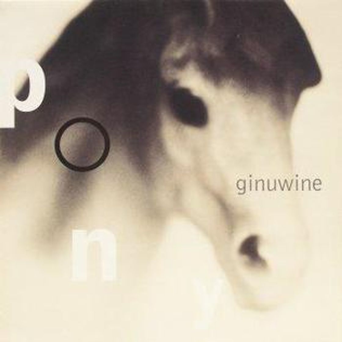 Music Pony