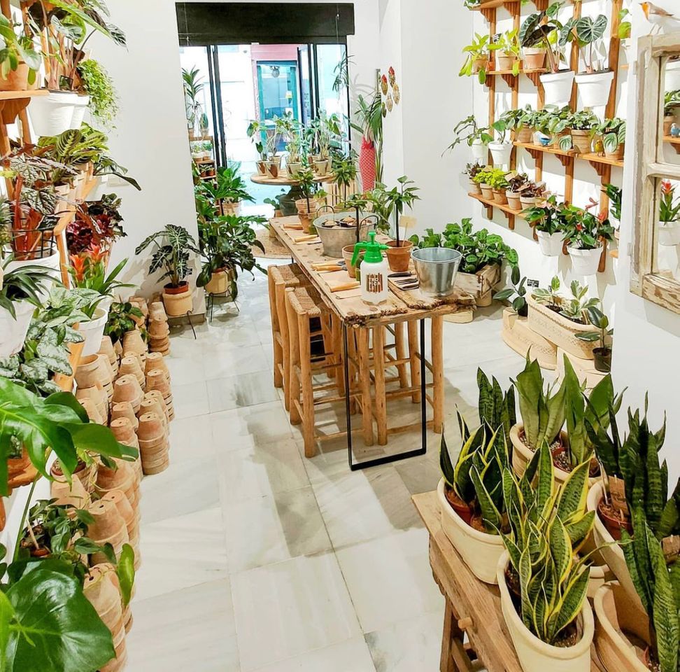 Place Tropicale
