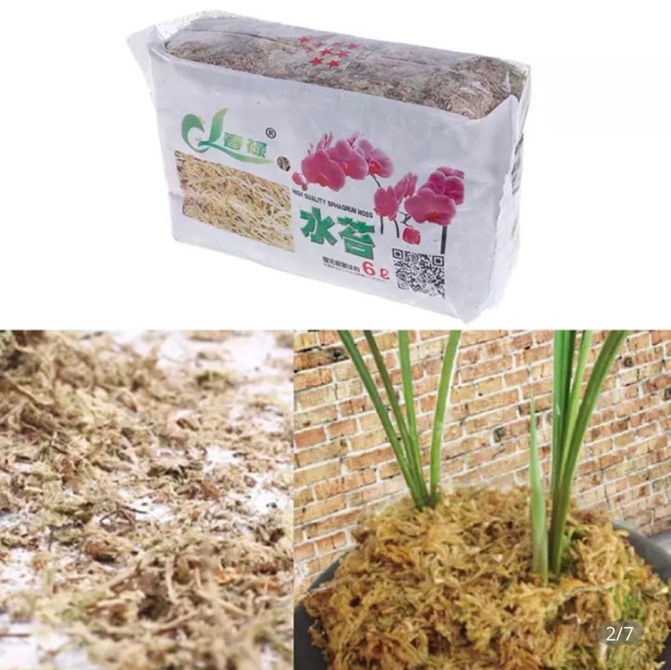 Product Musgo Sphagnum