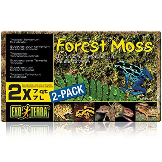Exo Terra Sustrato Natural Forest Moss - Paquete de 2 Unidades x 7 L - Total