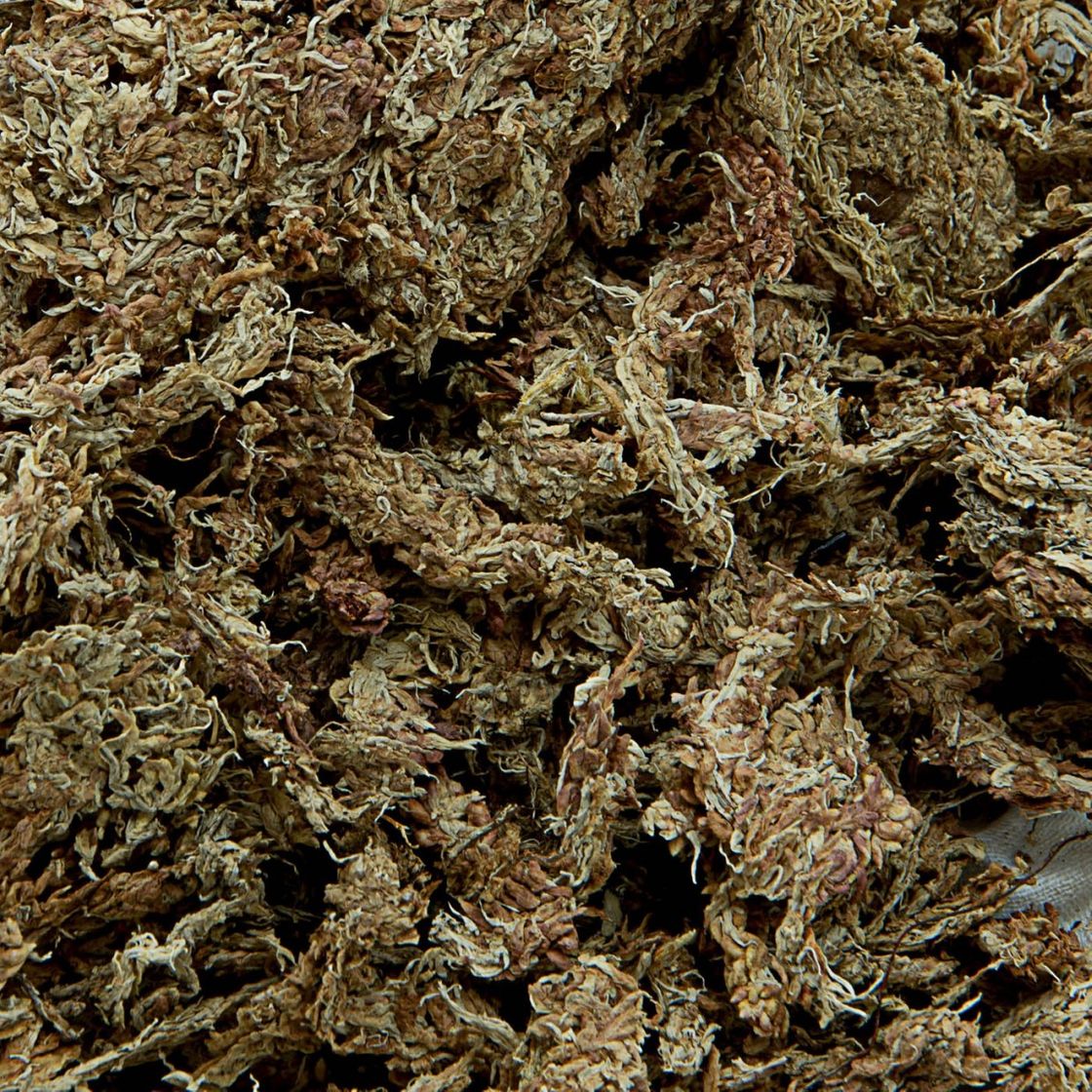 Producto Musgo Sphagnum deshidratado 