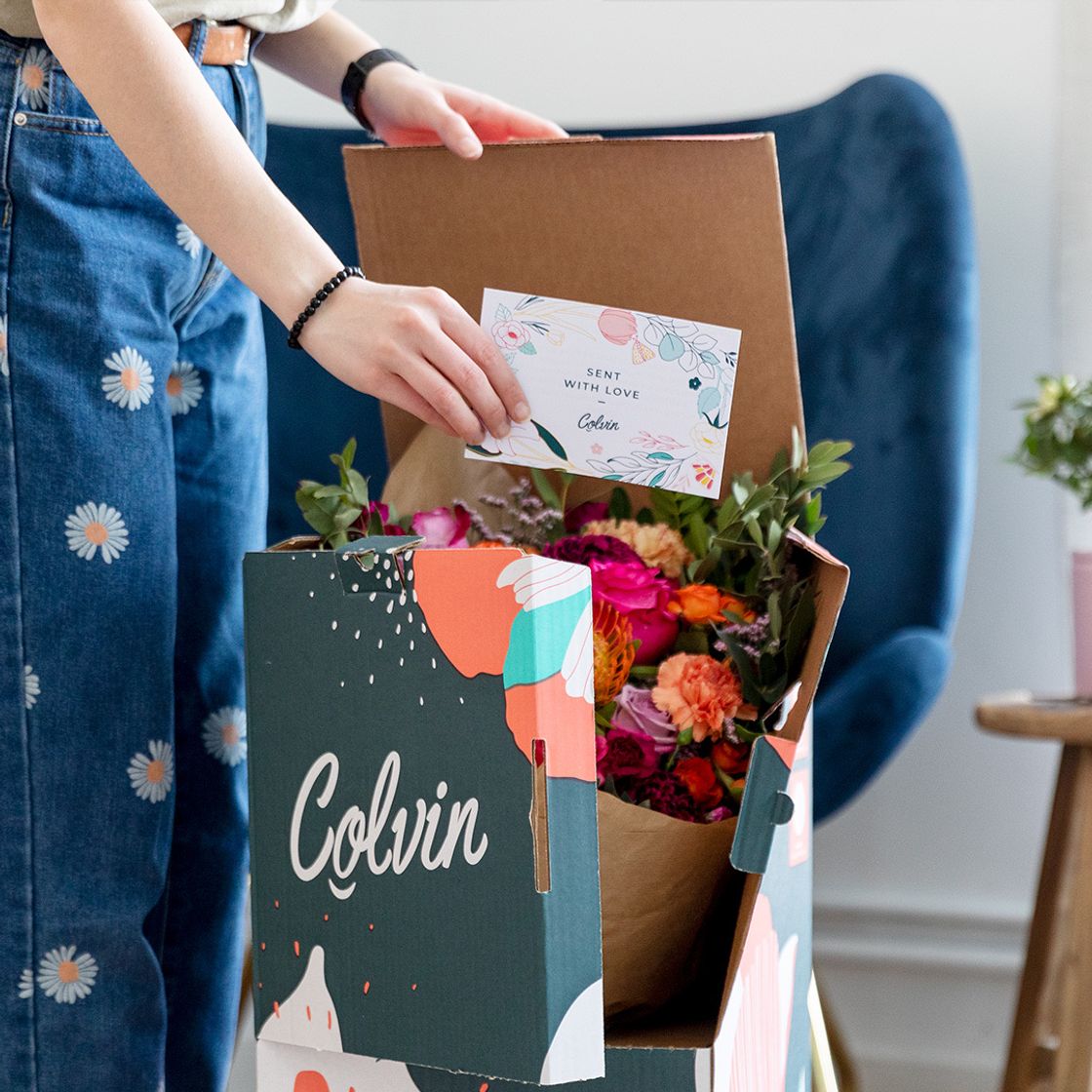 Moda Colvin 25% PLANTITISCRONICA