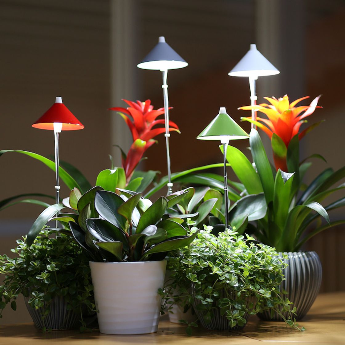 Product Lámpara Plantas Led 7W SUNLITE 