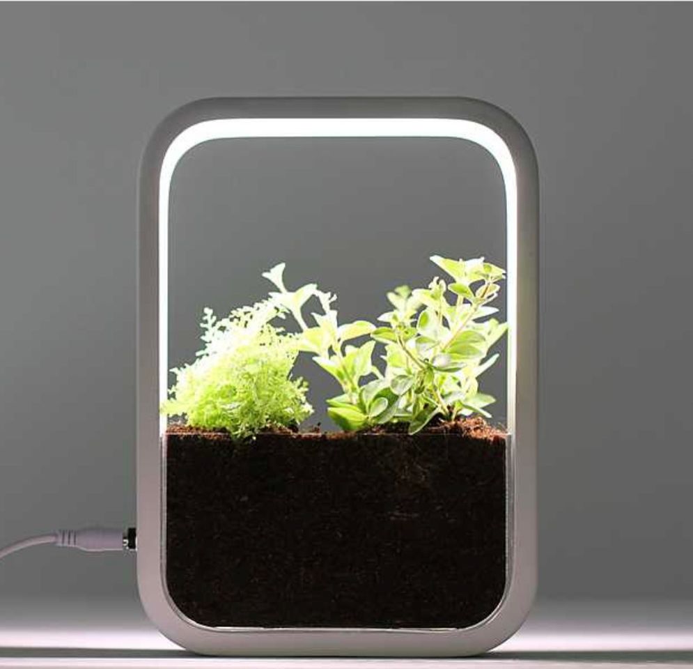 Productos Jardín interior con lámpara de cultivo LED