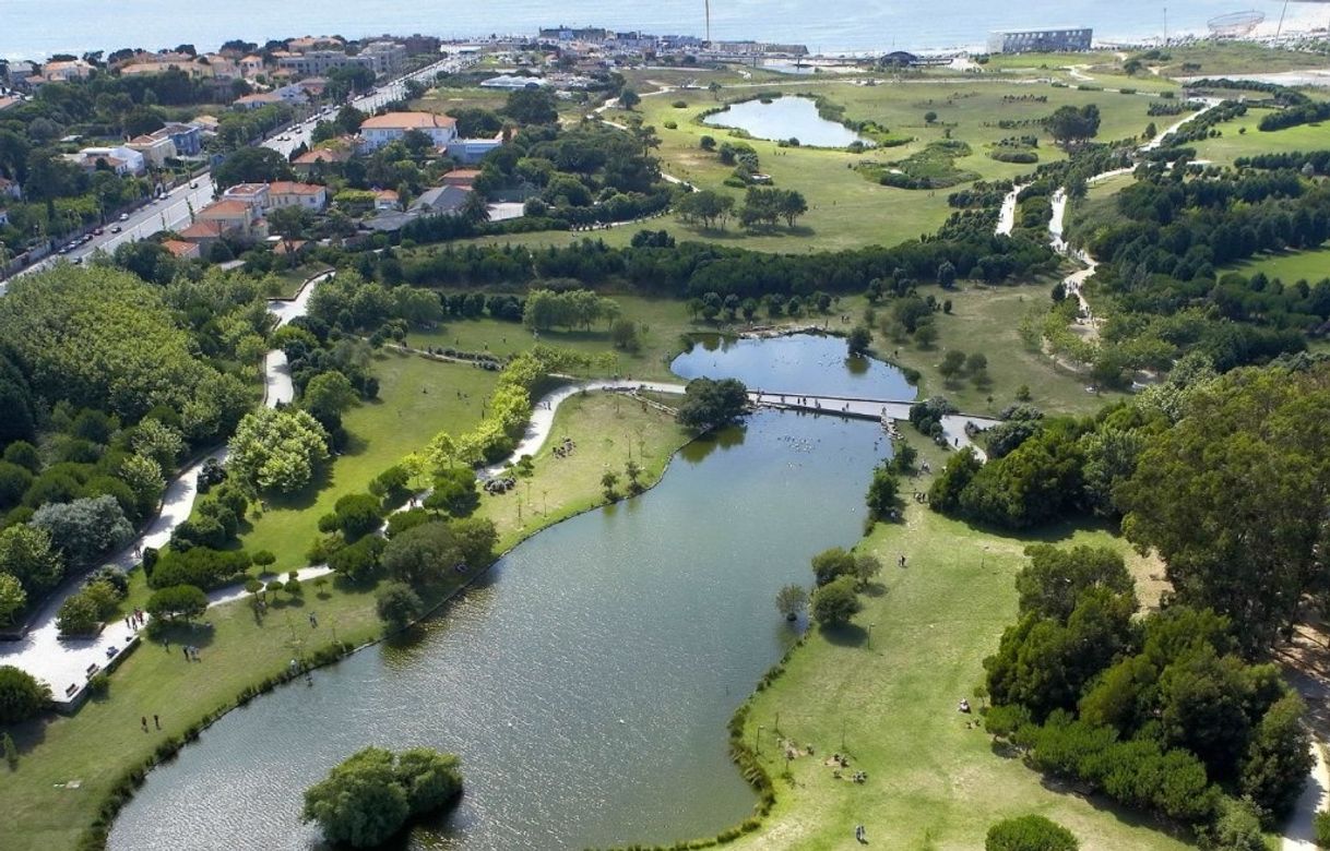 Place Parque da Cidade