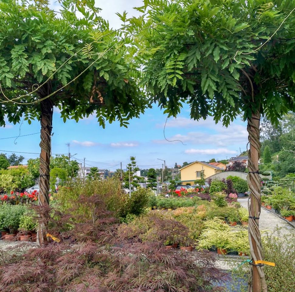 Place Viveros Brandariz