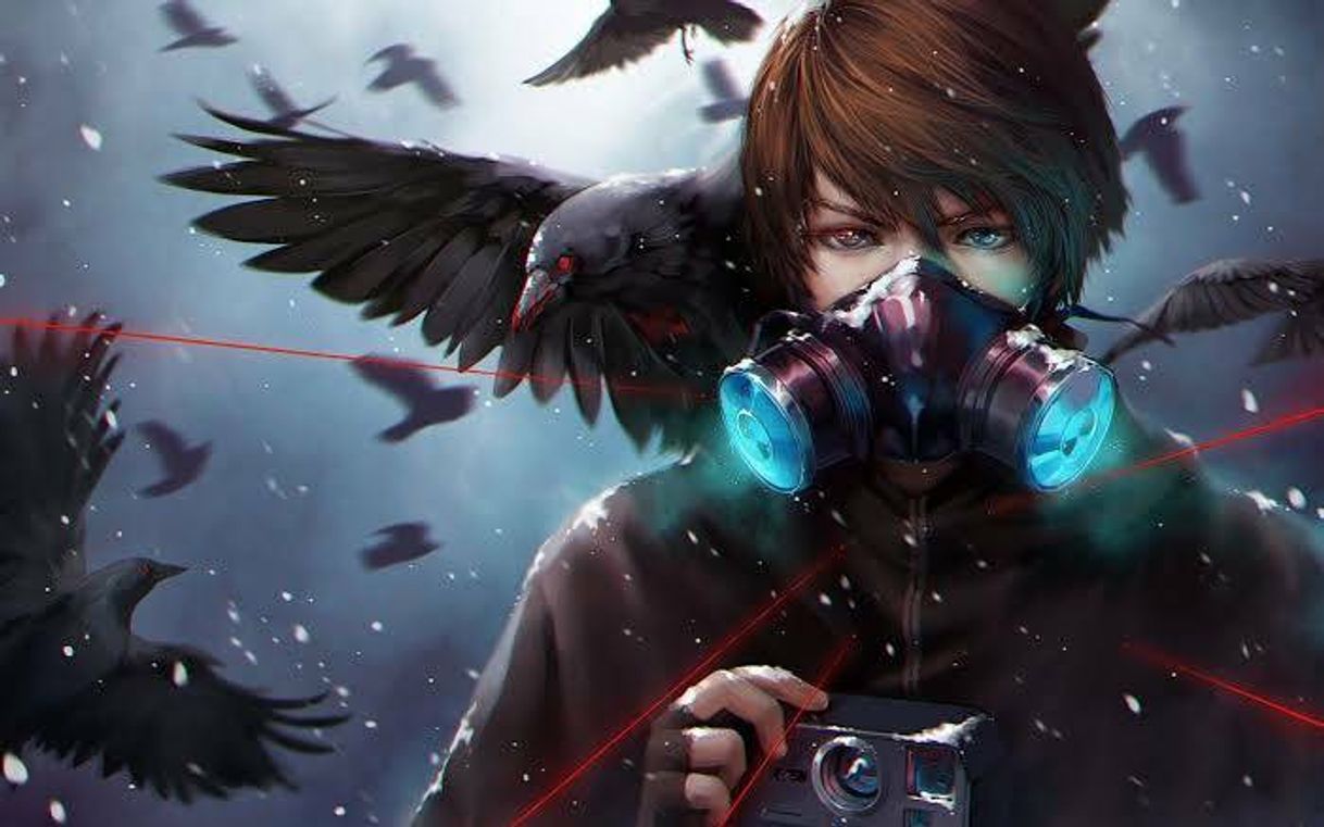 Social Sever de discord