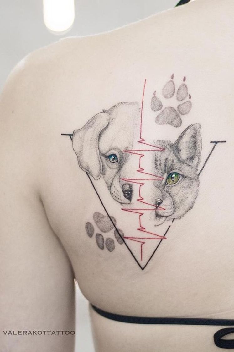 Fashion TATTO PET 🐶🐱