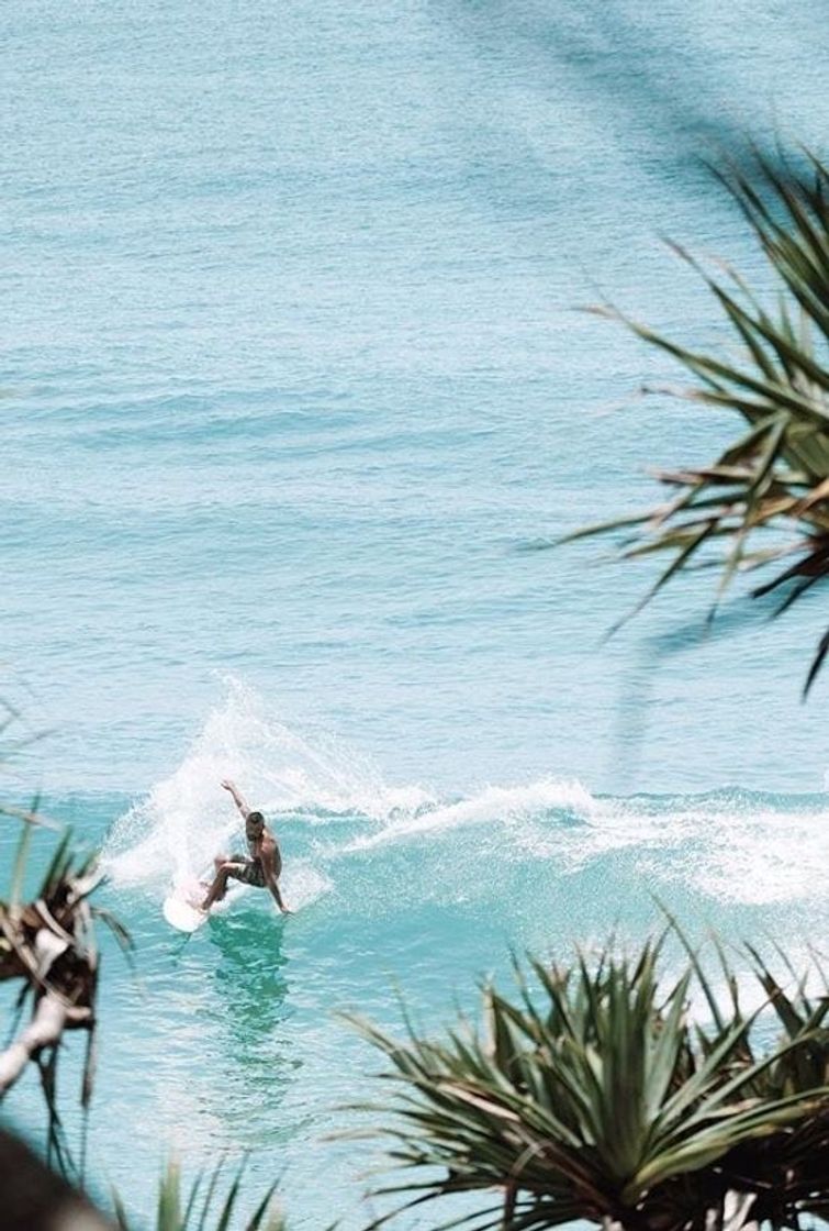 Lugar Noosa Heads